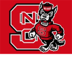 The NC Wolfs (Basketball)