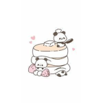 Panda's crazy group xd