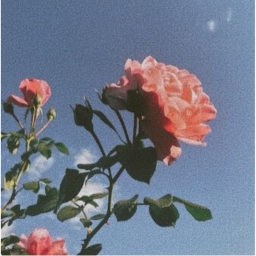 𝘆𝗼𝘂,