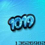 1019 DHM