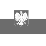 Poland x Straight military
