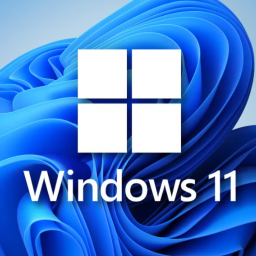 Windows 11