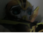 Team buzzz