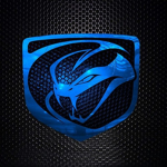 Viper Protection Service