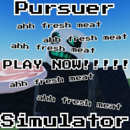 Pursuer Simulator