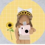 Sxnnydrop
