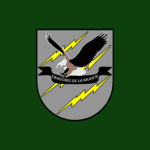 Light Reaction Regiment ᅠᅠ