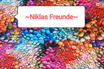 ~Niklas Freunde~