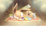 Eeveelutions Fans
