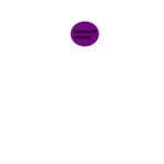 Mentality Studios