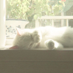 ʚɞ