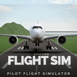 Pilot Flight Simulator