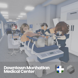 Downtown Manhattan Medical Center [SNYH]
