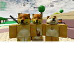 Cool Doges group