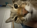 ⋆BIG tuna⋆