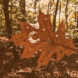 ˳˚ ๑ 🍁꒷˳ ☕️・🍂 ˚ .