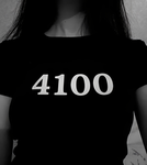 4100W