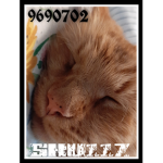 SKU11Z