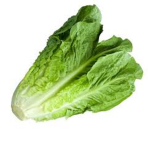 Roblox Salad