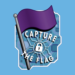 capture the flag 1