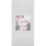 Bunny fandom