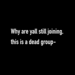 The Wolfie Club! [Official Group]