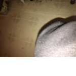 SNF_qTonTube