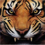 Tiger Pack