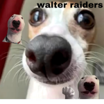 Walter Raiders