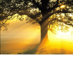 SimpleySunshine