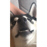 Me cool boi