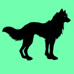 .:.~ Shade Shadow Pack ~.:.