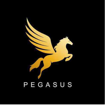 [NEW BLP]PEGASUS