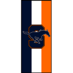 Sachse National Guard