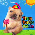 Paleta Team