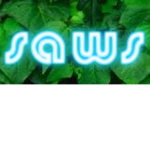 519