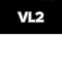 VL2 Hangout