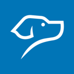 Blue Doggo Inc