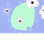 Water Lillie’s