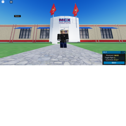 USMC Anglico