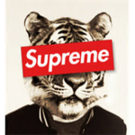 Supreme Clothes Creators!