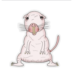 Hairless mole rat obby