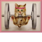 Rainbowkittens friendship group