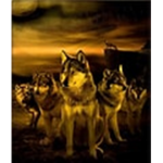 thewolfkingdome