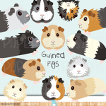 Animal Club<3