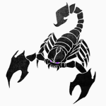 Team Immortal Scorpions