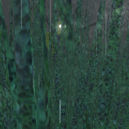 Hunted