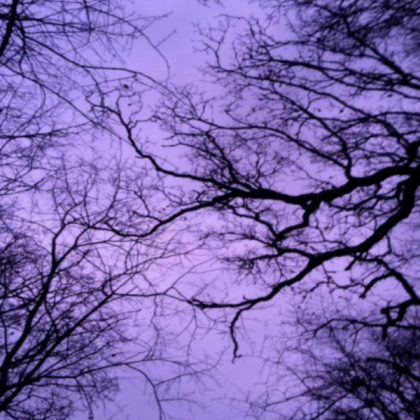 Purple aesthetic Roblox decal