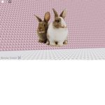The animal group.[recommended to join for animals]