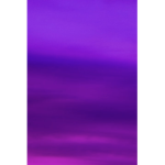 Purple Squads Group